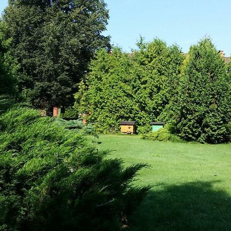 Kwiatowa Zagroda Bialowieza Exterior foto