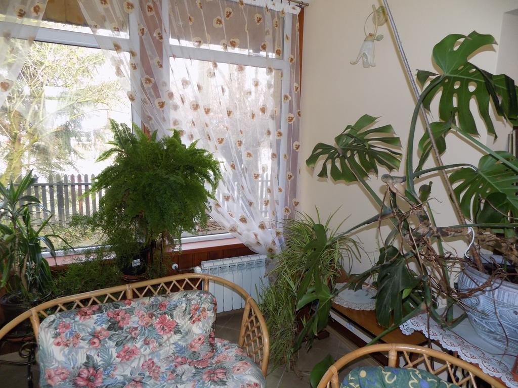Kwiatowa Zagroda Bialowieza Exterior foto