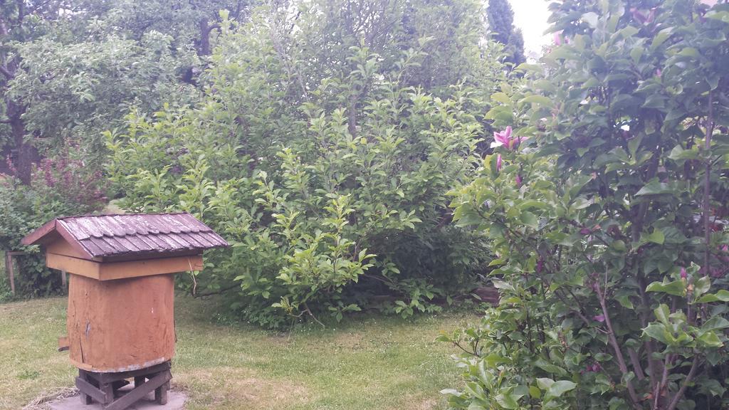 Kwiatowa Zagroda Bialowieza Exterior foto