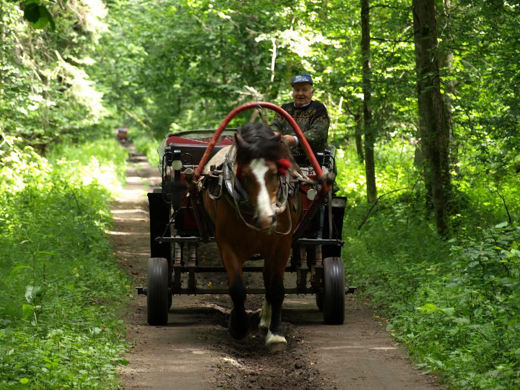 Kwiatowa Zagroda Bialowieza Exterior foto