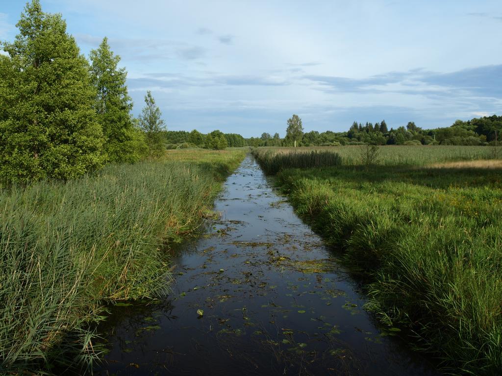 Kwiatowa Zagroda Bialowieza Exterior foto