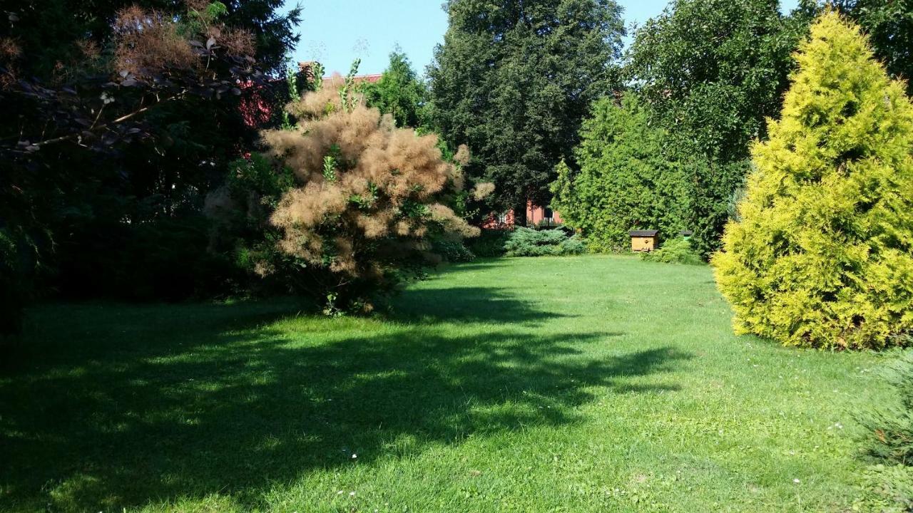 Kwiatowa Zagroda Bialowieza Exterior foto