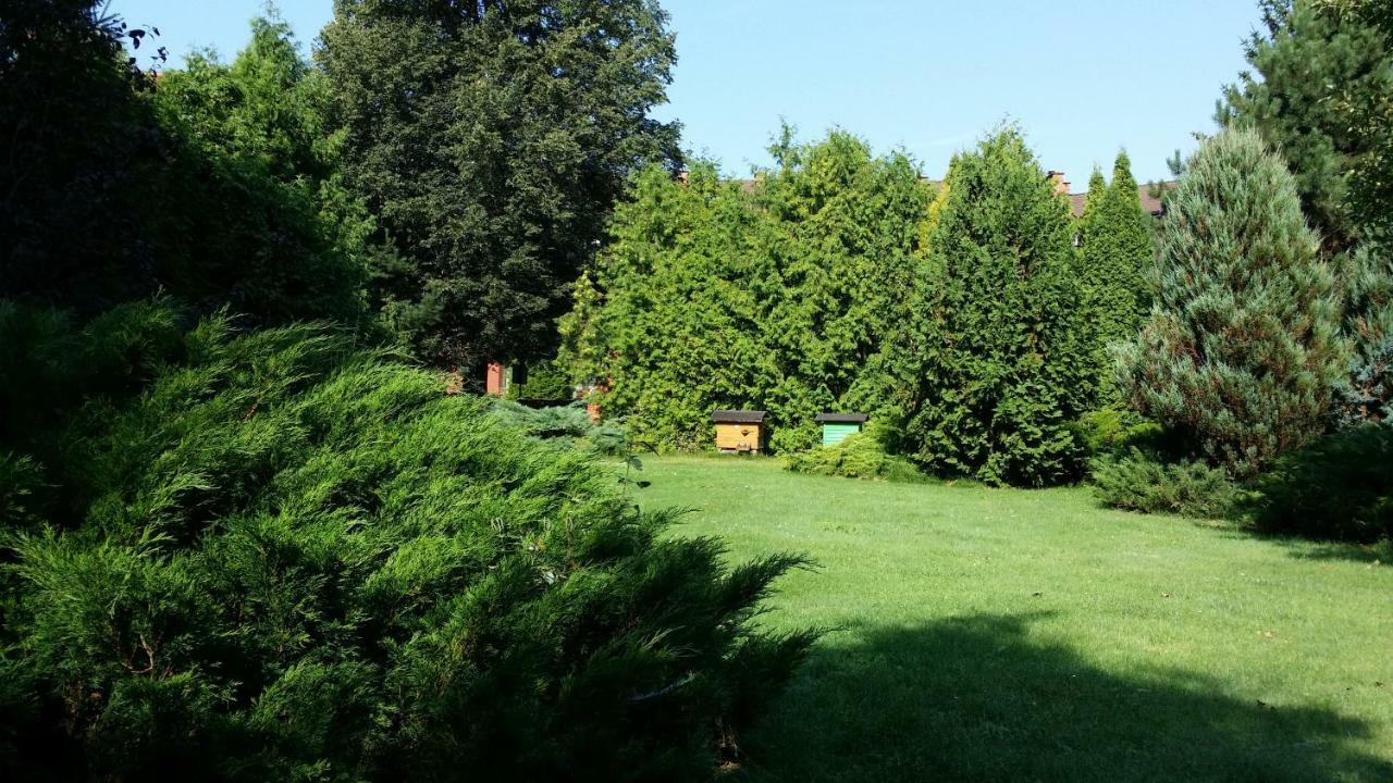 Kwiatowa Zagroda Bialowieza Exterior foto